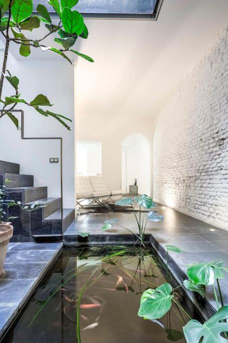 Exclusivo Apartamento De Diseno Centro Sevilla Matahacas Bajo Buitenkant foto