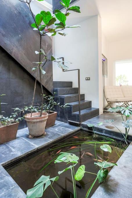 Exclusivo Apartamento De Diseno Centro Sevilla Matahacas Bajo Buitenkant foto