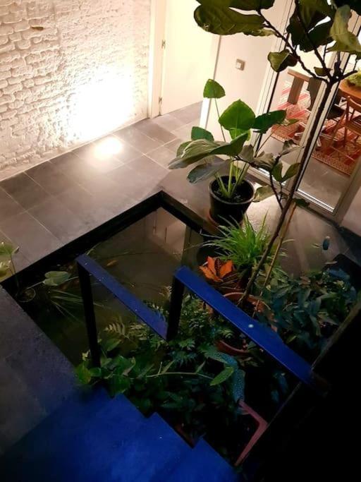 Exclusivo Apartamento De Diseno Centro Sevilla Matahacas Bajo Buitenkant foto