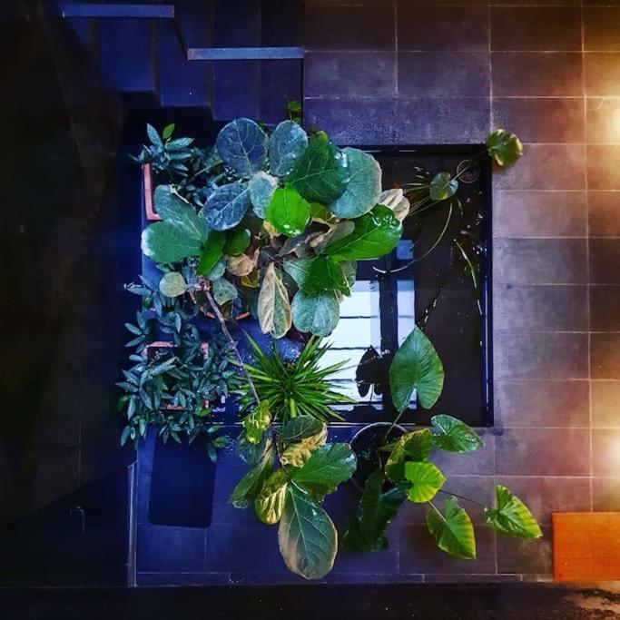 Exclusivo Apartamento De Diseno Centro Sevilla Matahacas Bajo Buitenkant foto